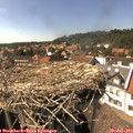 15_45-nest.jpg