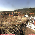 15_50-nest.jpg