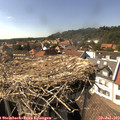 15_55-nest.jpg