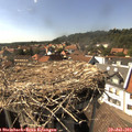16_00-nest.jpg