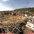 16_05-nest.jpg