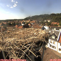16_10-nest.jpg