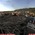 16_15-nest.jpg