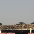 16_20-mast.jpg