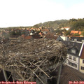 16_20-nest.jpg