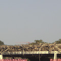 16_25-mast.jpg