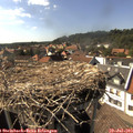 16_25-nest.jpg
