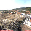 16_30-nest.jpg
