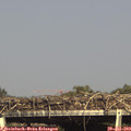 16_35-mast.jpg