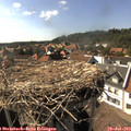 16_35-nest.jpg