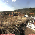 16_40-nest.jpg
