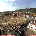 16_45-nest.jpg