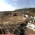 16_55-nest.jpg