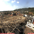 17_05-nest.jpg