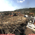 17_10-nest.jpg