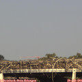 17_15-mast.jpg