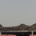 17_25-mast.jpg