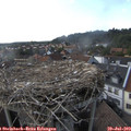 17_25-nest.jpg