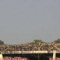 17_30-mast.jpg