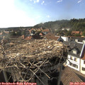17_30-nest.jpg
