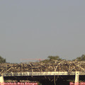 17_40-mast.jpg