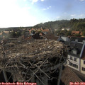 18_05-nest.jpg