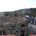 18_10-nest.jpg