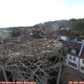 18_15-nest.jpg