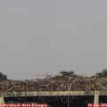 18_20-mast.jpg