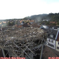 18_20-nest.jpg