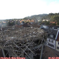 18_25-nest.jpg