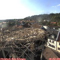 18_30-nest.jpg