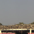 18_35-mast.jpg