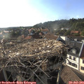 18_35-nest.jpg