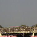 18_45-mast.jpg