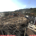18_45-nest.jpg