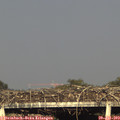 18_50-mast.jpg