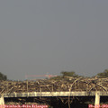 18_55-mast.jpg