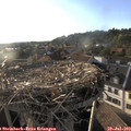 19_10-nest.jpg