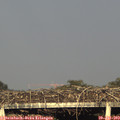 19_15-mast.jpg