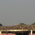 19_50-mast.jpg