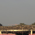 19_55-mast.jpg