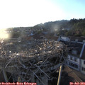 20_00-nest.jpg