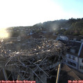 20_05-nest.jpg