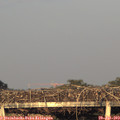 20_10-mast.jpg