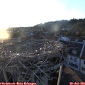 20_15-nest.jpg