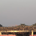 20_25-mast.jpg