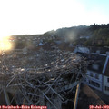 20_25-nest.jpg