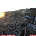 20_45-nest.jpg