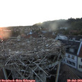 20_55-nest.jpg